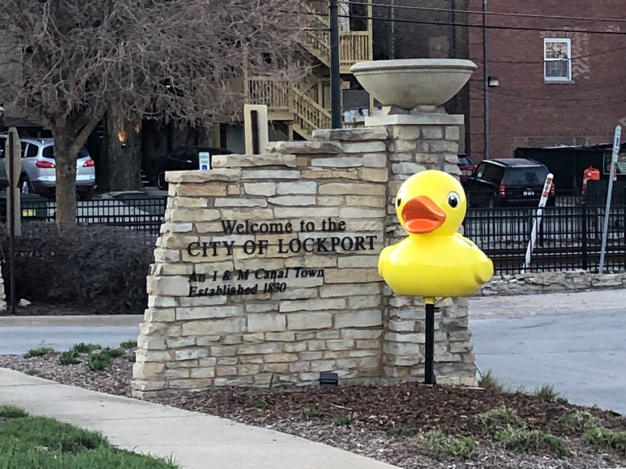 Flock of artistic ducks land downtown to help small businesses fly again